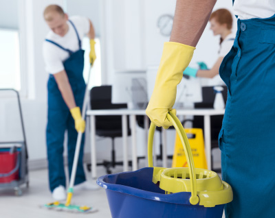 The Lion’s Cleaning Services LLC