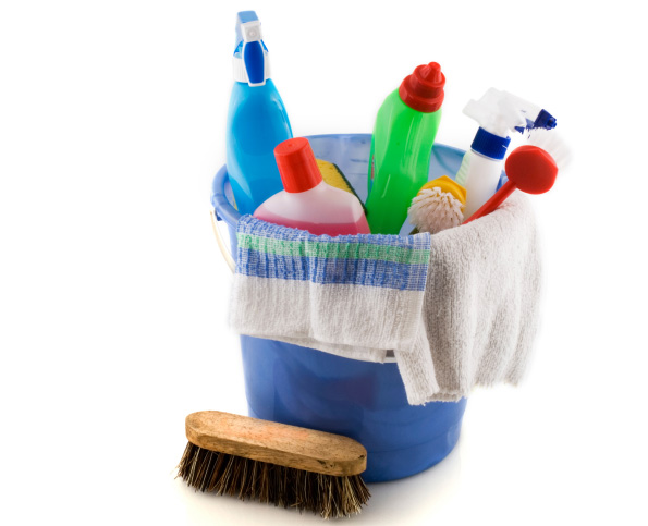 The Lion’s Cleaning Services LLC