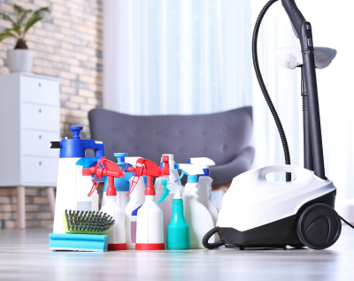 The Lion’s Cleaning Services LLC